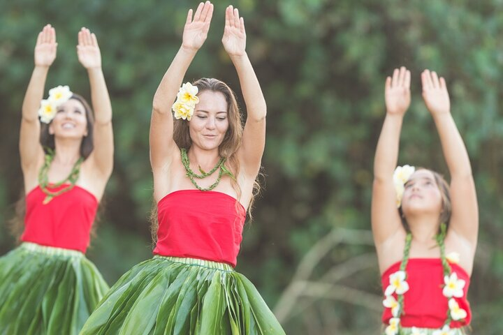 Private Transportation from Honolulu to Toa Luau - Photo 1 of 7